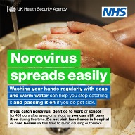 Norovirus