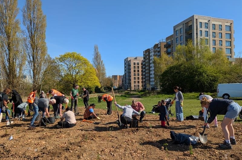 Feltham Tree planting 2