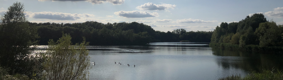Bedfont lakes
