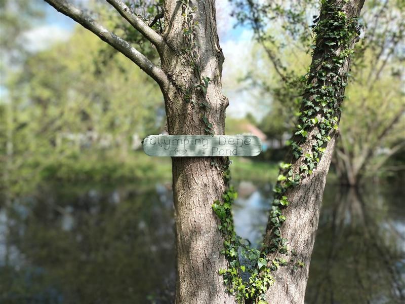 Picture of a tree with a sign on reading: Clymping Dene Pond