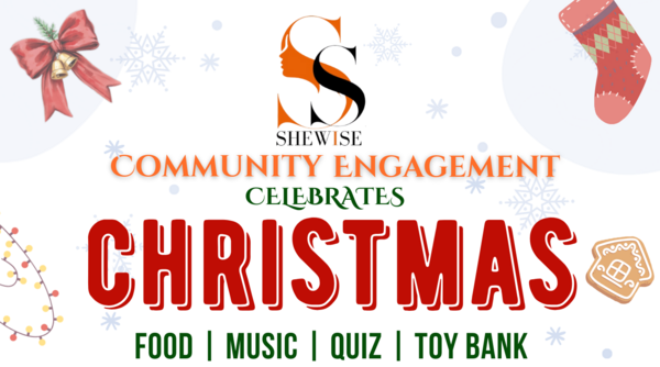 Shewise Christmas parties