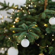 Christmas tree close up