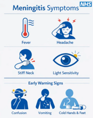 Meningtitis symptoms