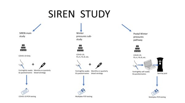 SIREN Study Newsletter | Issue 29 | 15 November 2022