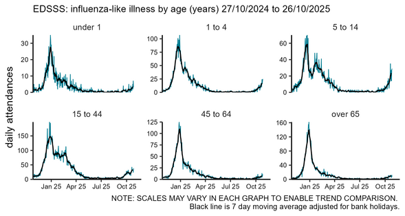 Emergency department daily influenza-like illness attendances by age group chart