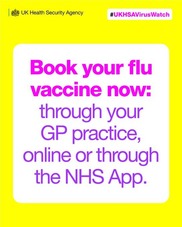 Book your flu vaccine now