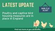 APHA bird flu