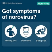 Got symptoms of norovirus?