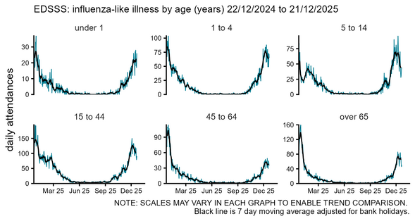 Daily emergency department influenza-like illness by age group charts