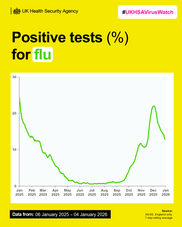 image showing a graph which depicts positive test for flu over the winter period it was published 8 January 2026