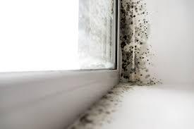 mould on window ledge