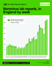 Norovirus data infographic 15 Jan