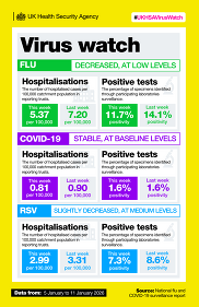Virus watch 15 Jan infographic with flu, RSV and COVID data