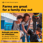 UKHSA farm graphic for social media