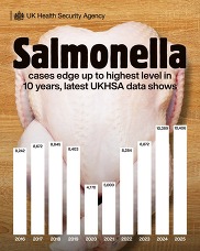 Salmonella asset
