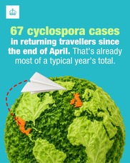 cyclospora asset 