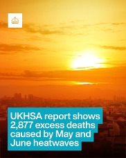 ukhsa heat mortality report asset