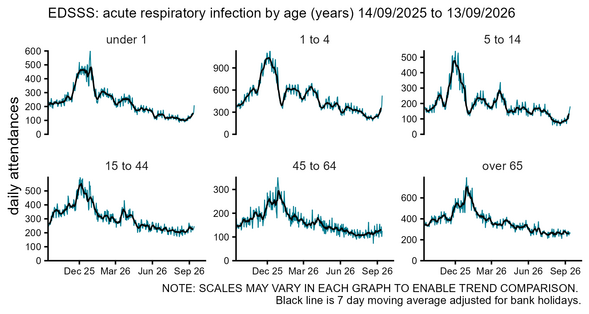 Emergency department daily acute respiratory infection attendances by age group chart