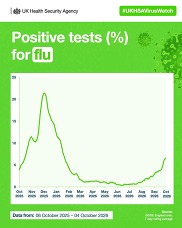 UKHSA virus watch flu wc 6 Oct