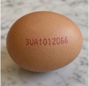 picture of egg  & code potentially contaminated with salmonella
