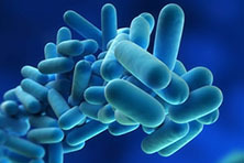 legionella