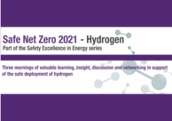 Safe Net Zero event banner