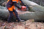 worker using chainsaw