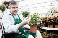 garden centre worker with plant