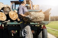 worker on a farm