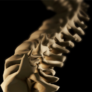 Image of spine