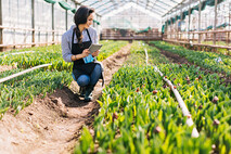 worker in greenhouse