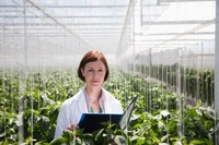 female worker alone in large greenhouse