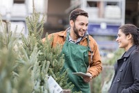 Christmas tree seller at work