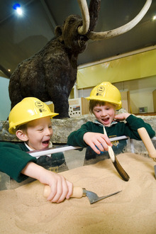 Festival of Archaeology