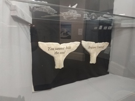 Photo showing part of the 'Here Be Whales' exhibition at the Maritime Museum. 