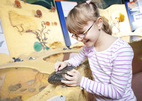 Shell Handling Event