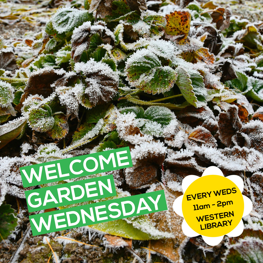 welcome garden wednesday