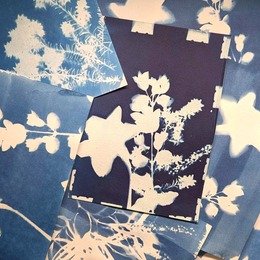 cyanotype workshops