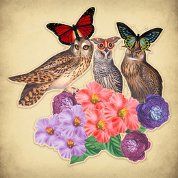 collage workshop with anna bean