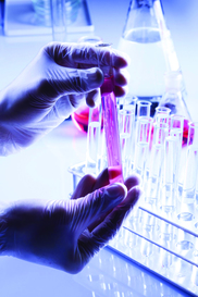 Medical testing image