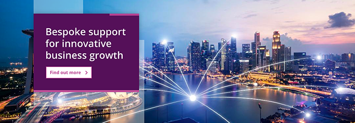 bespoke support for innovative business growth - find out more
