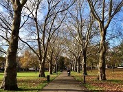 Highbury Fields park autumn
