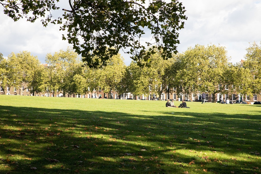 A shot looking across Highbury Fields on a sunny day