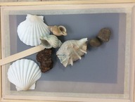 Some shells and a stick, arranged on a frame