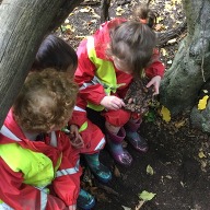 Three children on a log in a forest, looking closely at some stones and sticks