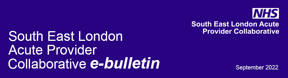 South East London Collaborative banner v3