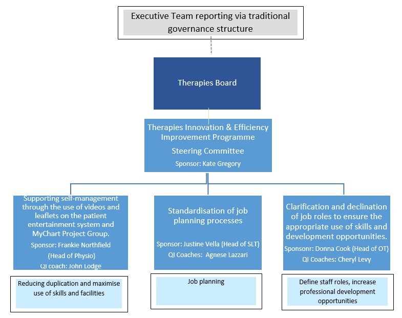 Therapists governance v2