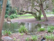 Brockwell Park top pond