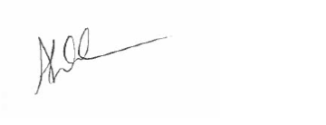 Andy wilson signature 