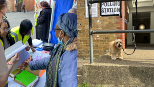 Staff signing in at elections count at Kia Oval and fluffy dog outside of polling station in Lambeth